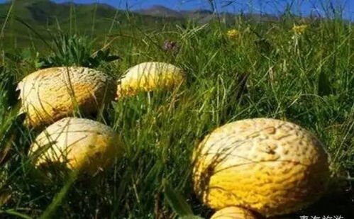 天空之城不再遙遠(yuǎn) 寶蘭高鐵開通與信息系統(tǒng)集成服務(wù)的緊密結(jié)合